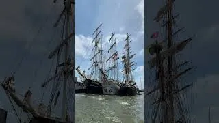Thumbnail: Sail-In Harlingen 2026    #sail #harlingen #tallships #rib #experience