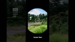 Thumbnail: Brachter Wald Juni 2026 #wildlife #spotting