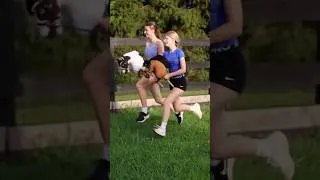 Thumbnail: Miss you @kht.winnerponies 🥺💙 #hobbyhorse