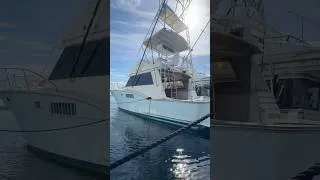 Thumbnail: I mean, it would have made A TON of exciting videos… 🤣🥹😅 #notouryacht