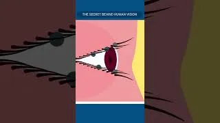 Thumbnail: Every Blink Protects Your Eyes