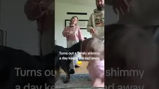 Thumbnail: Today's shimmy is brought to you by our housesit in Collingwood, Ontario