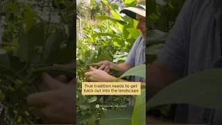 Thumbnail: This Farmer is Reclaiming a Lost Art to Survive the Future
