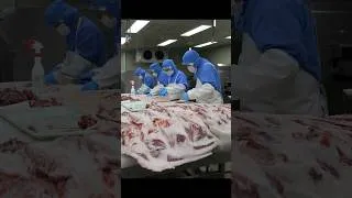 Thumbnail: 없어서 못먹는 한우가 식탁에 오르기까지의 여정!?