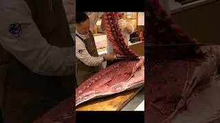 Thumbnail: 228kg 초대형 생참치를 냉장고에 넣는 법?