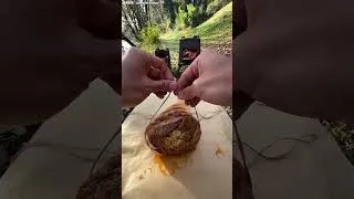 Thumbnail: Grilled chicken drumstick