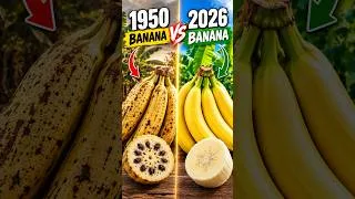 Thumbnail: The Banana You Eat Today Is About to Disappear! 🍌#shorts