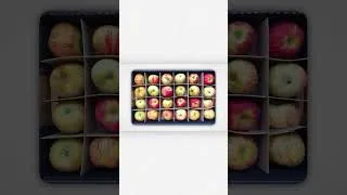 Thumbnail: Every Apple Explained