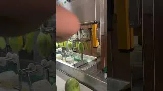Thumbnail: This Machine is Peeling Mangoes BETTER Than Me! 🙈#mango, #foodhacks#futuretech #magicalmangopeeling