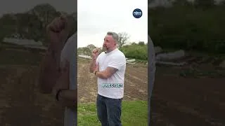 Thumbnail: Why farm-fresh vegetables taste SO much better than from a supermarket... 🤯