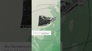 Thumbnail: Sauerkraut: Who Invented It? | FoodUnfolded #shorts