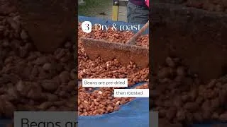 Thumbnail: Chocolate: Simple Steps from Bean to Bar | FoodUnfolded #shortsvideo