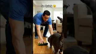 Thumbnail: Quick snatch of my cat 😺😜