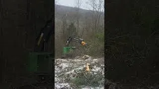 Thumbnail: bunch onto the wall 10 sec 20251117 095335
