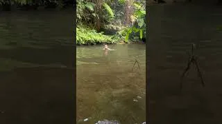 Thumbnail: Take a deep breath... the waterfall will do the rest🌿 #shorts #viral #nature