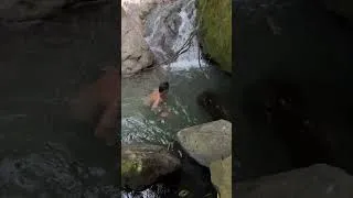 Thumbnail: One Minute of Peace in the Wild❤️❤️ Thanks for watching. See you at the next destination #viral 🌿