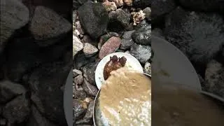 Thumbnail: #forestgrillkitchen #outdoorcooking #wild