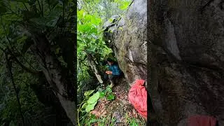 Thumbnail: Surviving amidst the torrential rain #nomadichoneyhunters ,Survivaljungle