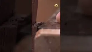 Thumbnail: Hybrid Woodworking?