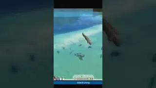 Thumbnail: Those are some active fish!