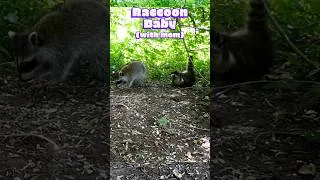 Thumbnail: Adorable Animal BABIES on Dog & Cat TV *Sneak Peek* New Episode coming soon! #animalbabies #dogtv