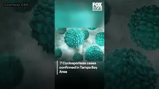 Thumbnail: Cyclosporiasis parasite: Bay Area sees 7 cases  #florida #news