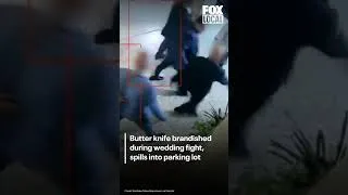 Thumbnail: Butter knife brandished during wedding fight, spills into parking lot