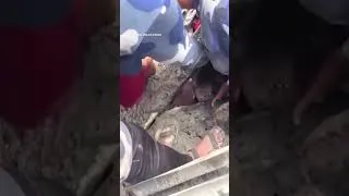 Thumbnail: Young girl rescued from rubble in Nepal