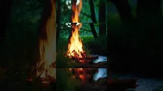 Thumbnail: 4K 📺 Soothing Campfire by the River 🌿 Real Sounds in Real Nature🌲(NO AI)