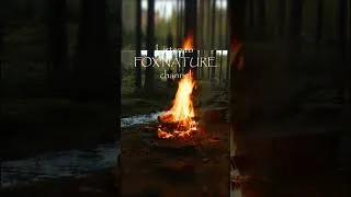 Thumbnail: 4K 📺 Real Evening Campfire 🔥Authentic Sounds of Nature to Calm Your Mind
