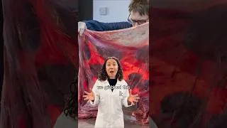 Thumbnail: Why does she have giraffe placenta in her freezer?