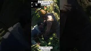 Thumbnail: Assassin's Creed IV: Black Flag Resynced on RTX 2050