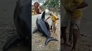 Thumbnail: The new genius of planet Earth🤣😂😁
