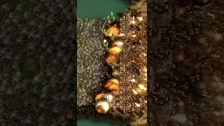 Thumbnail: games that need a sequel... They Are Billions