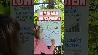 Thumbnail: Humans have the lowest protein milk