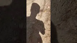 Thumbnail: Walking on Packed Ground Sound Effect #walking #footsteps #shadow #forestambient #soundeffects