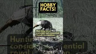 Thumbnail: HOBBY FACTS! Did you know Henry VIII loved hunting and owned huge forests?