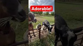 Thumbnail: This Is Why Every Parent Needs an E-Bike ❤️
