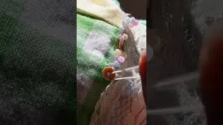 Thumbnail: last moments before the grand reveal of the dress! #artist #sewing #weddingdressup #weddingattire