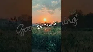 Thumbnail: village morning #shorts #rurallife #developer #coding