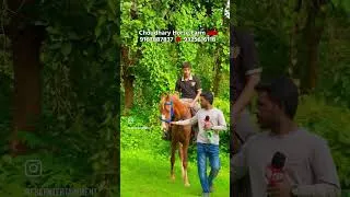 Thumbnail: Jigar: 2 Teeth Colt at Choudhary Horse Farm Padgha