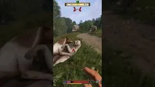 Thumbnail: Seeing Mutt's First Dog on Dog Fight #funny #comedy #KCD2 #Mutt #dogshorts