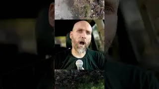 Thumbnail: INSIDER WARNING - LAUNCHING NUKES AGAINST THE USA #SHORTS #PREPPER #BREAKINGNEWS