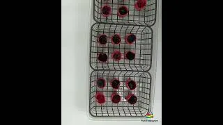 Thumbnail: Tie Dye Designs:  Dyespin Dye Swatches [#Shorts]
