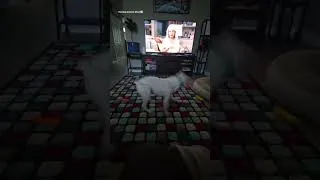 Thumbnail: When Your Favorite TV Show Finally Starts #shorts