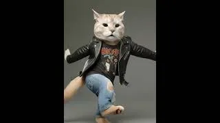 Thumbnail: Funny Dance Meme. My cat