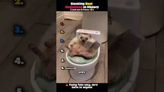 Thumbnail: Ranking Best Hedgehog in History