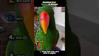 Thumbnail: Ranking Best Parrot in History