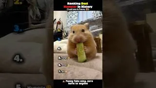 Thumbnail: Ranking Best Hamster in History