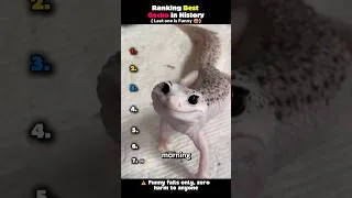 Thumbnail: Ranking Best Gecko in History